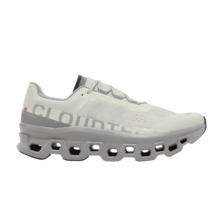 Cloudmonster Ice Alloy