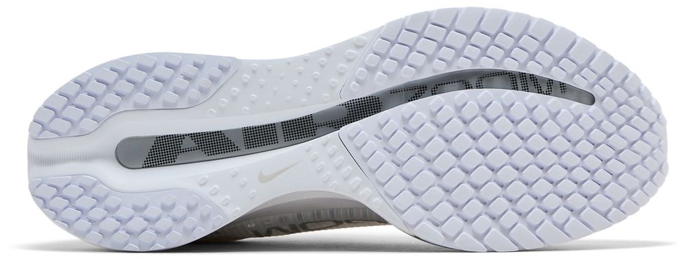 Nike Pegasus Premium White Metallic Silver