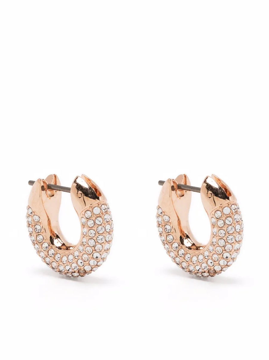 Dextera hoop earrings