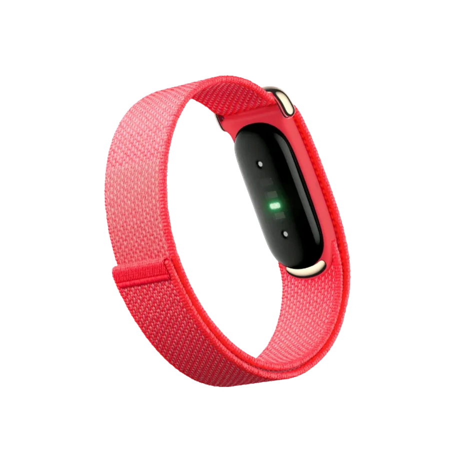 Google Fitbit Air "Berry"