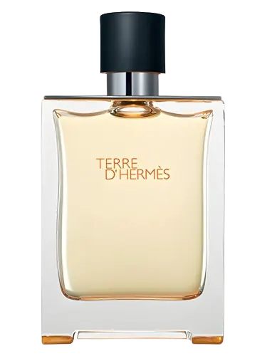 Terre d'Hermès Hermès for men
