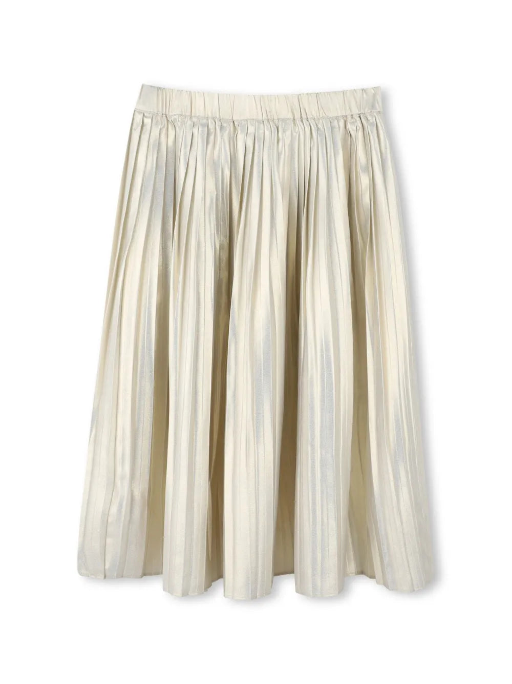 Long Skirt
