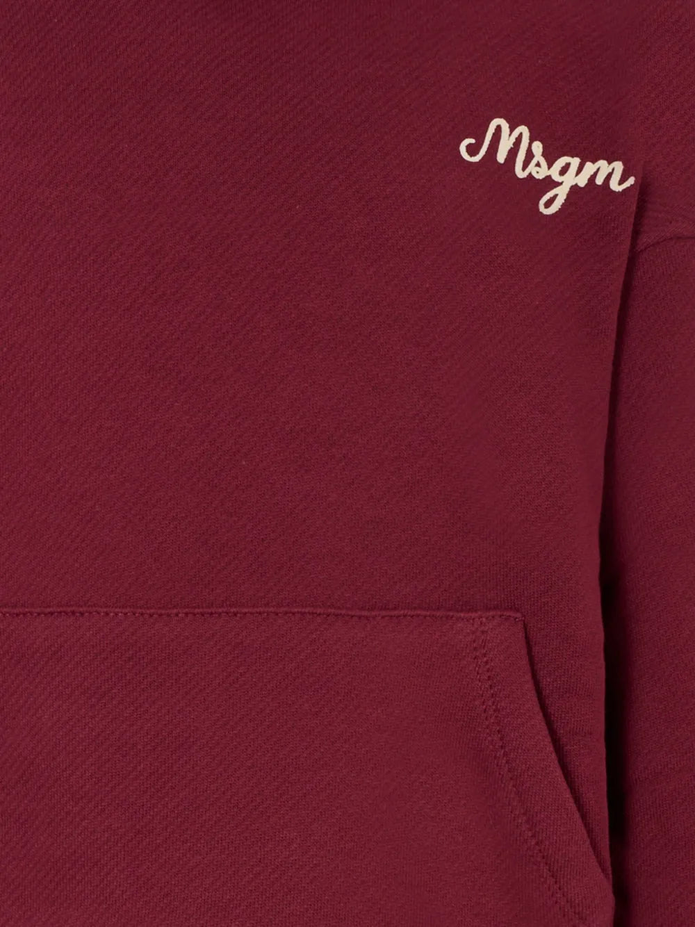 embroidered-logo Hoodie