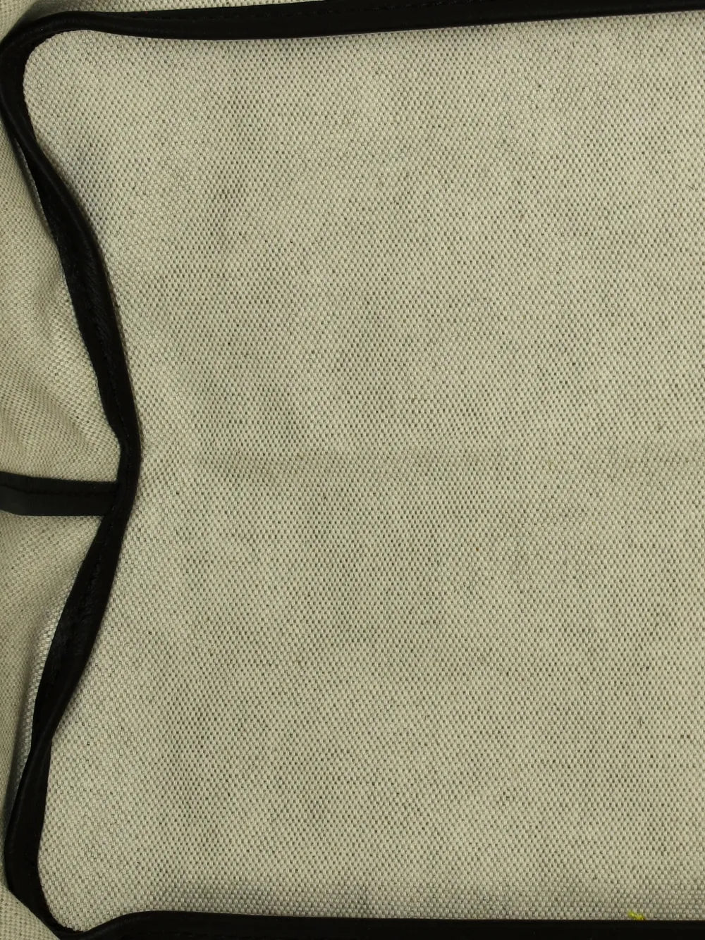 Saint Louis Coated Canvas GM tote bag
