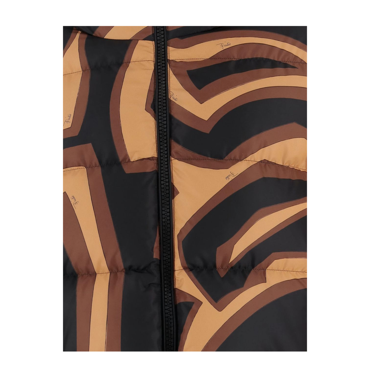 Printed Nylon Down Jacket In Brown