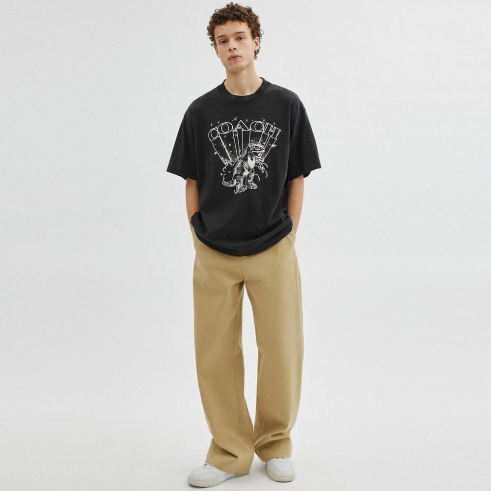T-Rex Relaxed T-Shirt In Organic Cotton
