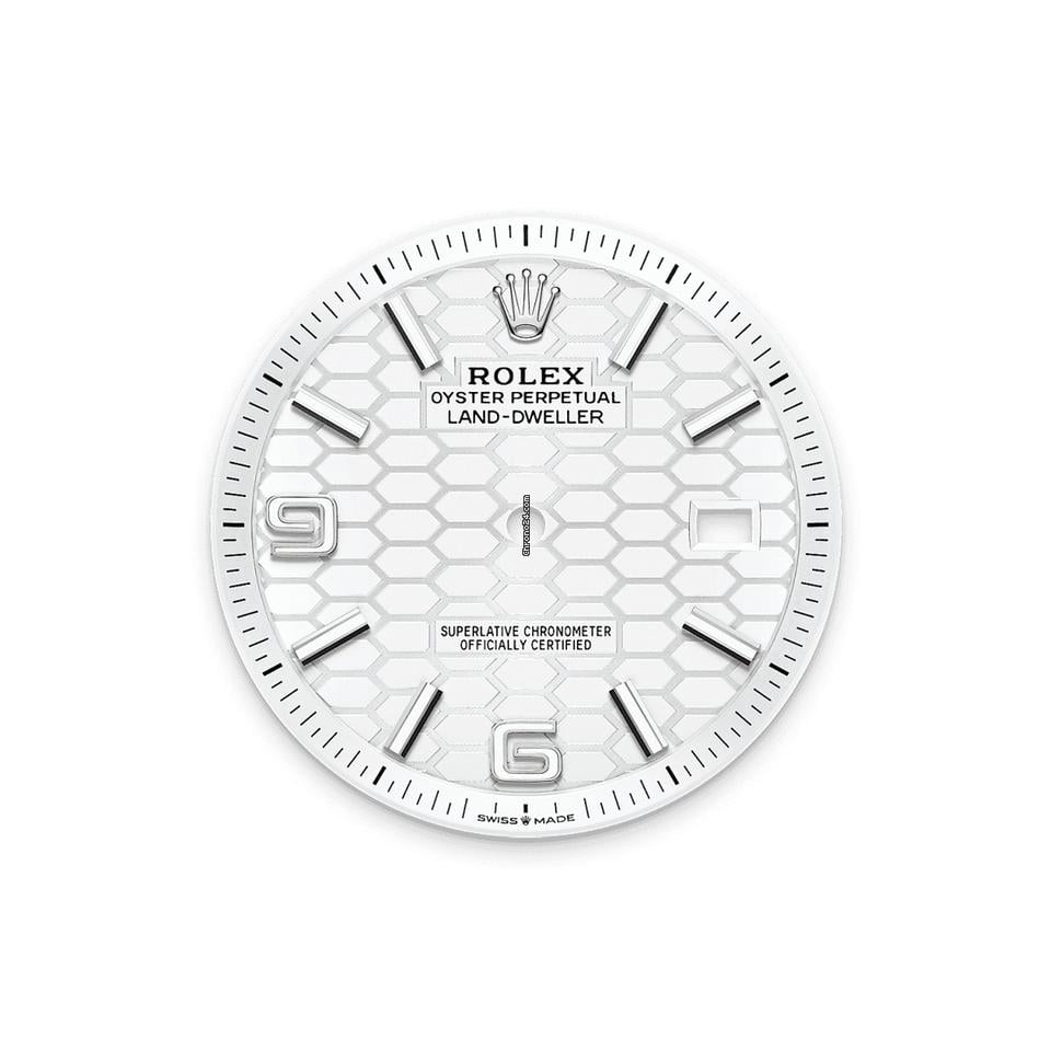 Rolex | Land-Dweller | 127334-0001 | Gold/Steel | 40mm mm | Steel | White | Automatic