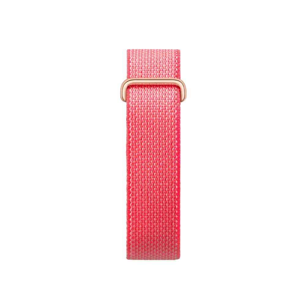 Google Fitbit Air "Berry"