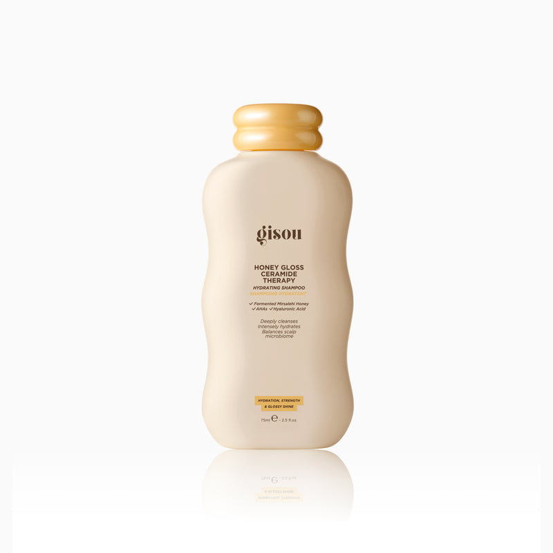 Gloss & Go Styling Kit