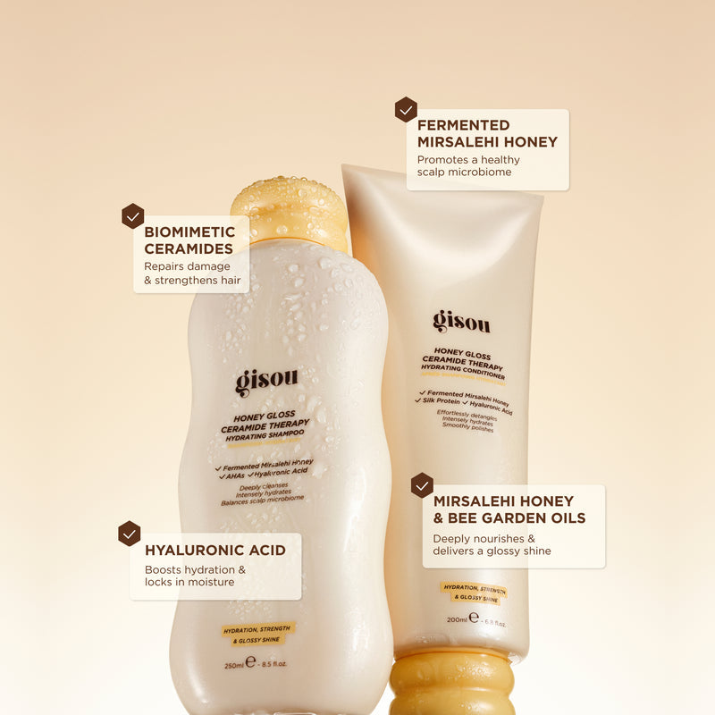 Gloss & Go Styling Kit