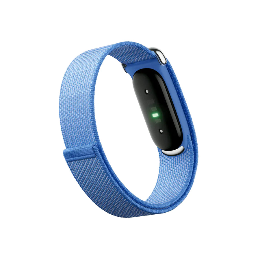 Google Fitbit Air "Lavender"