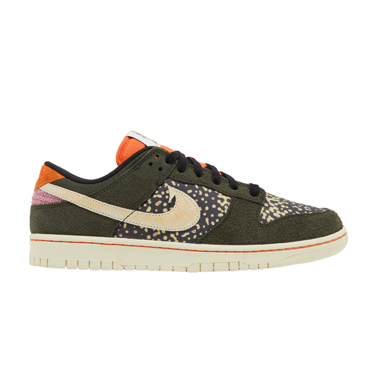 Nike Dunk Low Rainbow Trout