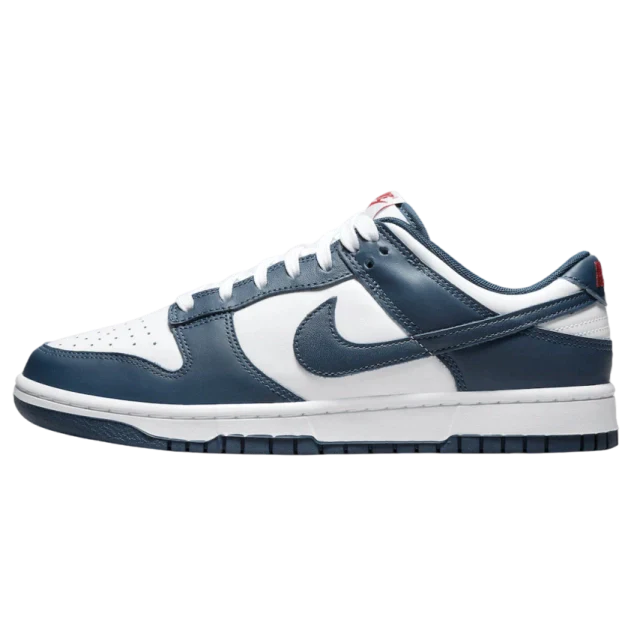 Dunk Low Valerian Blue