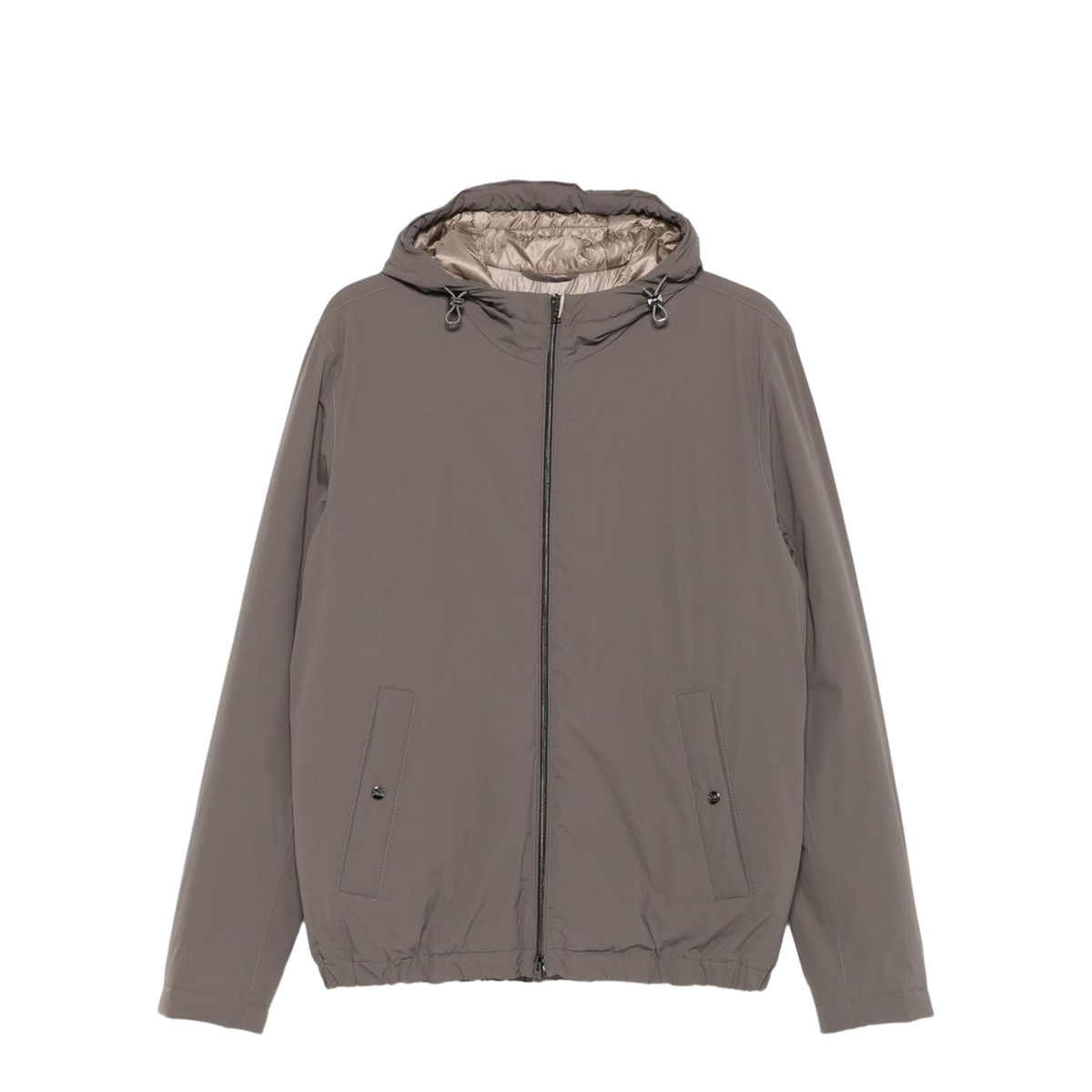 Coats Brown