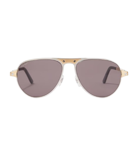 Cartier Eyewear Santos De Cartier aviator sunglasses