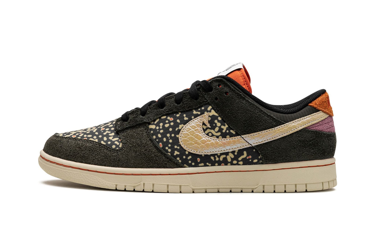 Nike Dunk Low Rainbow Trout